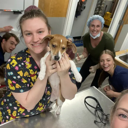 Vets Holding Brown and White Dog at Ferry Farm Animal Clinic